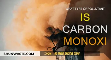 Carbon Monoxide: A Silent, Deadly Pollutant