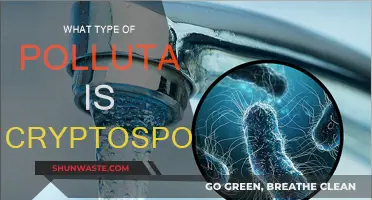 Cryptosporidium: A Waterborne Parasite Pollutant