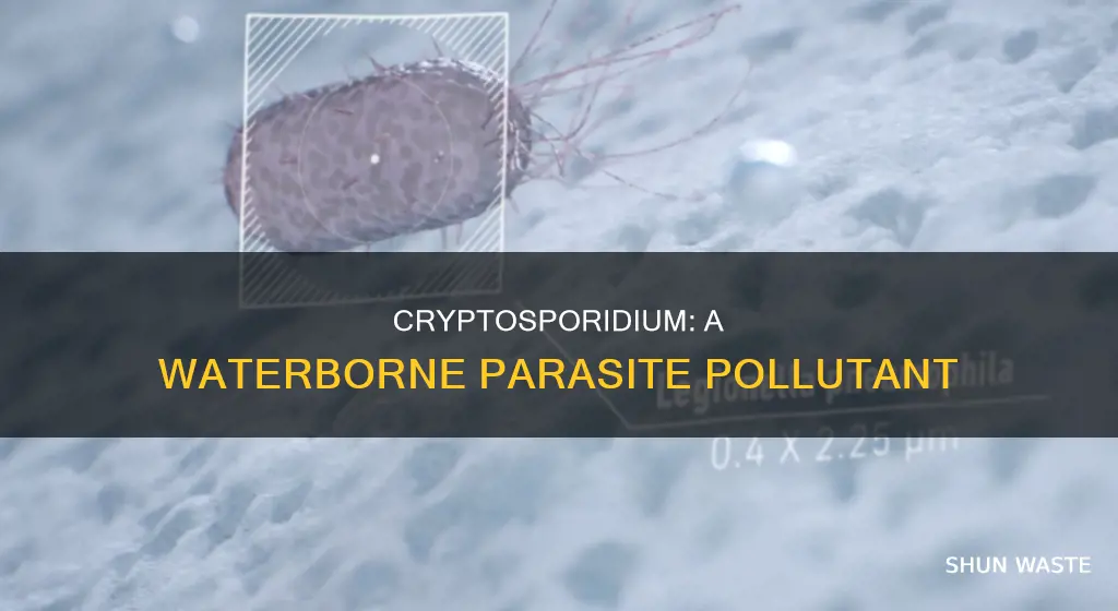 what type of pollutant is cryptosporidium