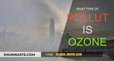 Ozone: Friend or Foe?