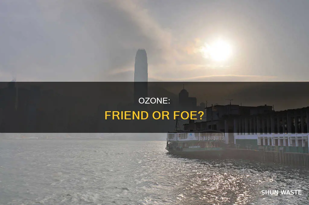 what type of pollutant is ozone