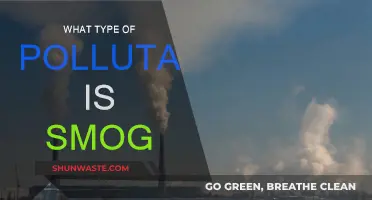 Smog: Understanding the Complex Mix of Air Pollutants