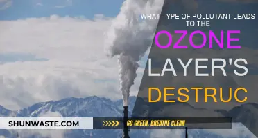 Ozone Layer: Harmful Pollutants and Their Impact