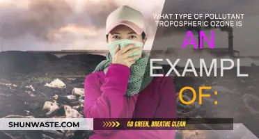 Ozone: A Complex Tropospheric Pollutant