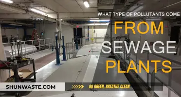 Sewage Plants: Understanding the Types of Pollutants They Emit