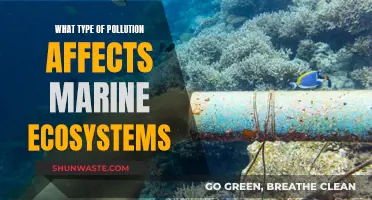 Understanding Marine Pollution: Impacting Ocean Ecosystems