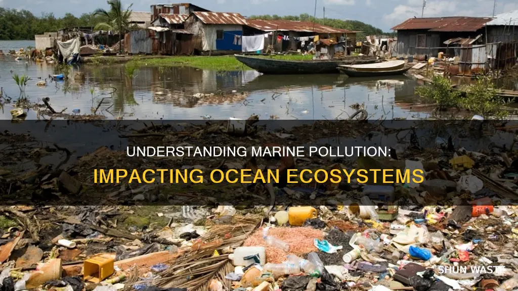 what type of pollution affects marine ecosystems