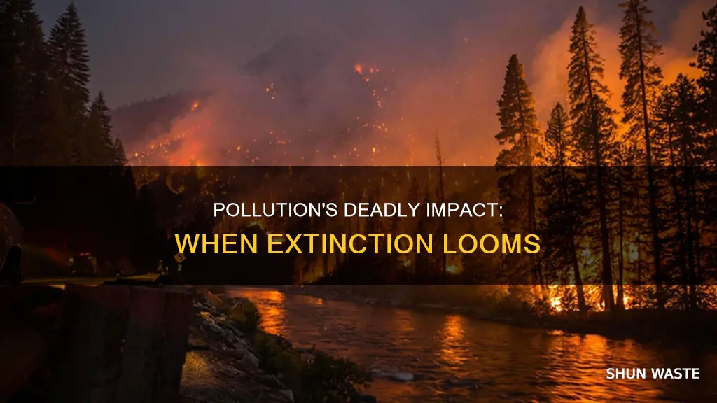 what type of pollution can cause extinction