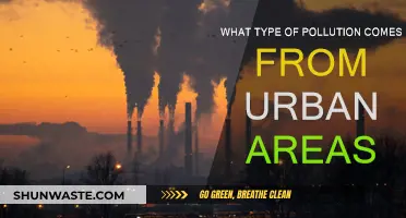 Urban Pollution: What's Harming Our Cities?