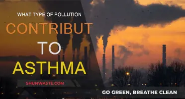 Air Pollution: Asthma's Unseen Triggers