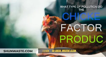 Chicken Factory's Pollution: What's the Harm?