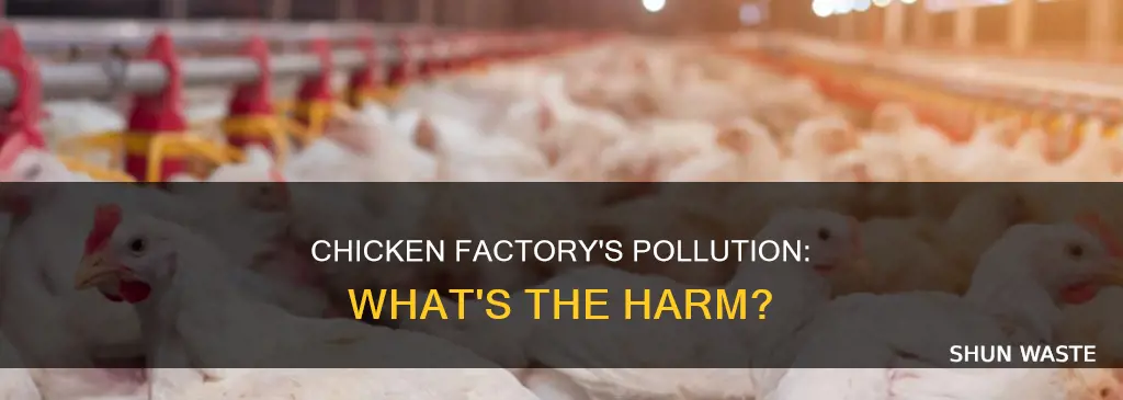 what type of pollution did the chicken factory produce