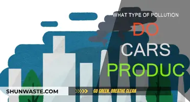 Cars: Major Sources of Air Pollution