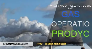 Oil and Gas Operations: Major Pollution Sources