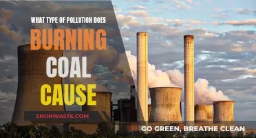 Coal's Dark Side: Unveiling Air Pollution's Hidden Hazards