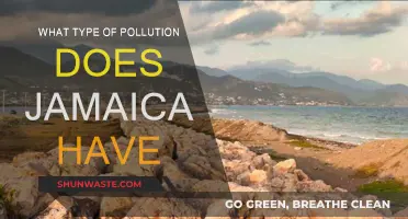 Jamaica's Pollution Problems: Understanding the Environmental Crisis