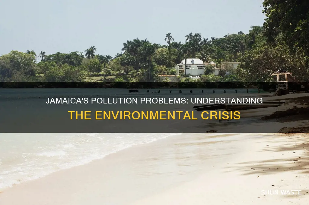 what type of pollution does jamaica have