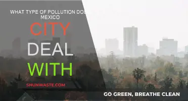 Mexico City's Pollution Problems: A Complex Crisis