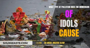 The Dark Side of Idol Immersion: Unveiling Waterway Pollution