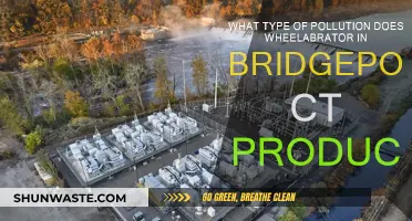 Bridgeport's Wheelabrator: What Pollutants Are Produced?