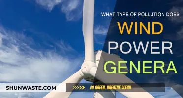 Wind Power: Is It a Polluting Energy Source?