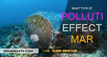 Marine Pollution: Understanding the Impact on Our Seas