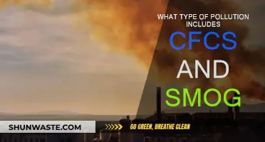 Air Pollution: Understanding CFCs and Smog