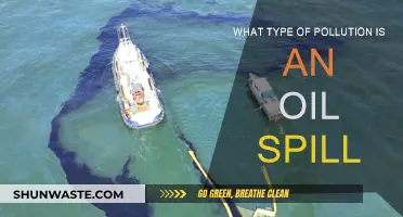Oil Spill: Understanding Its Devastating Impact on the Environment