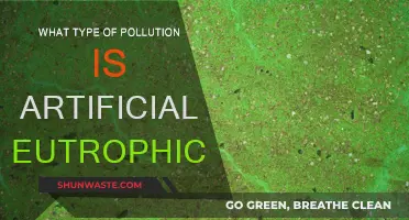 Artificial Eutrophication: A Pollution Type and Its Impact