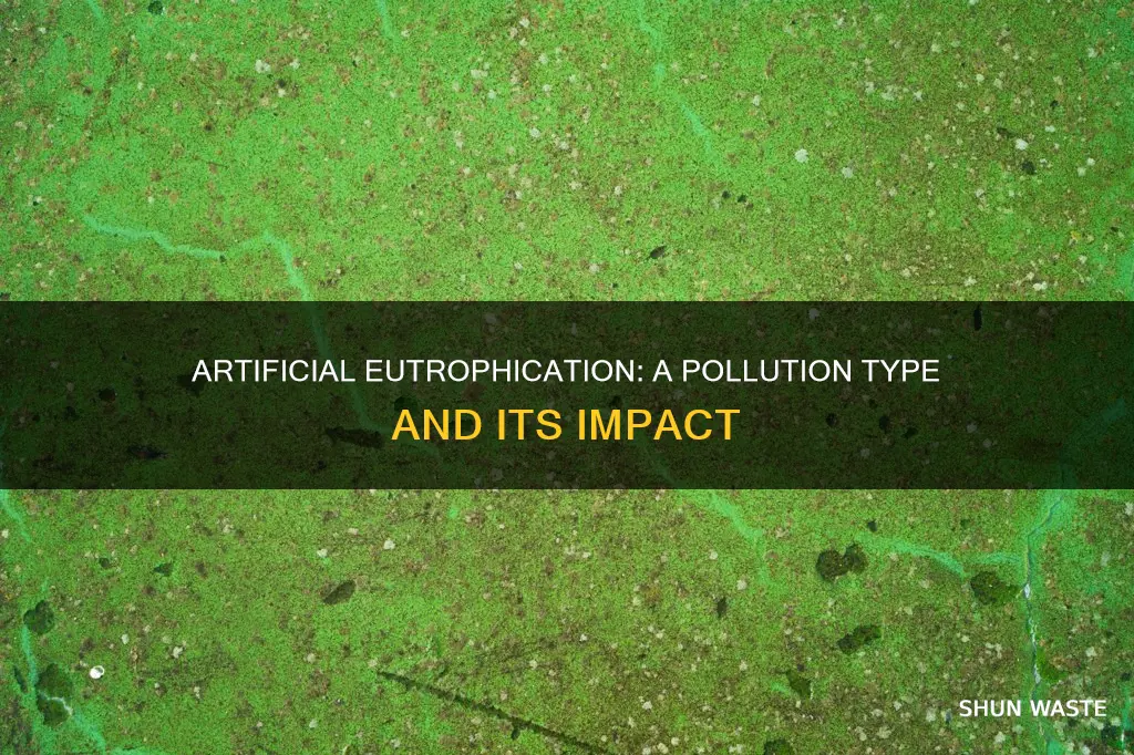 what type of pollution is artificial eutrophication