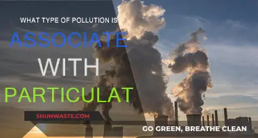 Particulate Pollution: Understanding the Health Risks of Tiny Particles