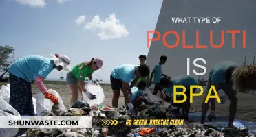 BPA's Pollution Type: Understanding the Harmful Impact