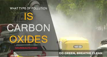 Carbon Oxides: Understanding Air Pollution and Its Impact