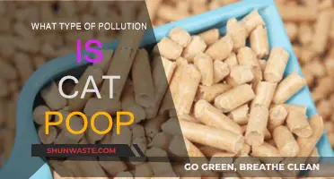 Cat Poop: A Public Health Concern