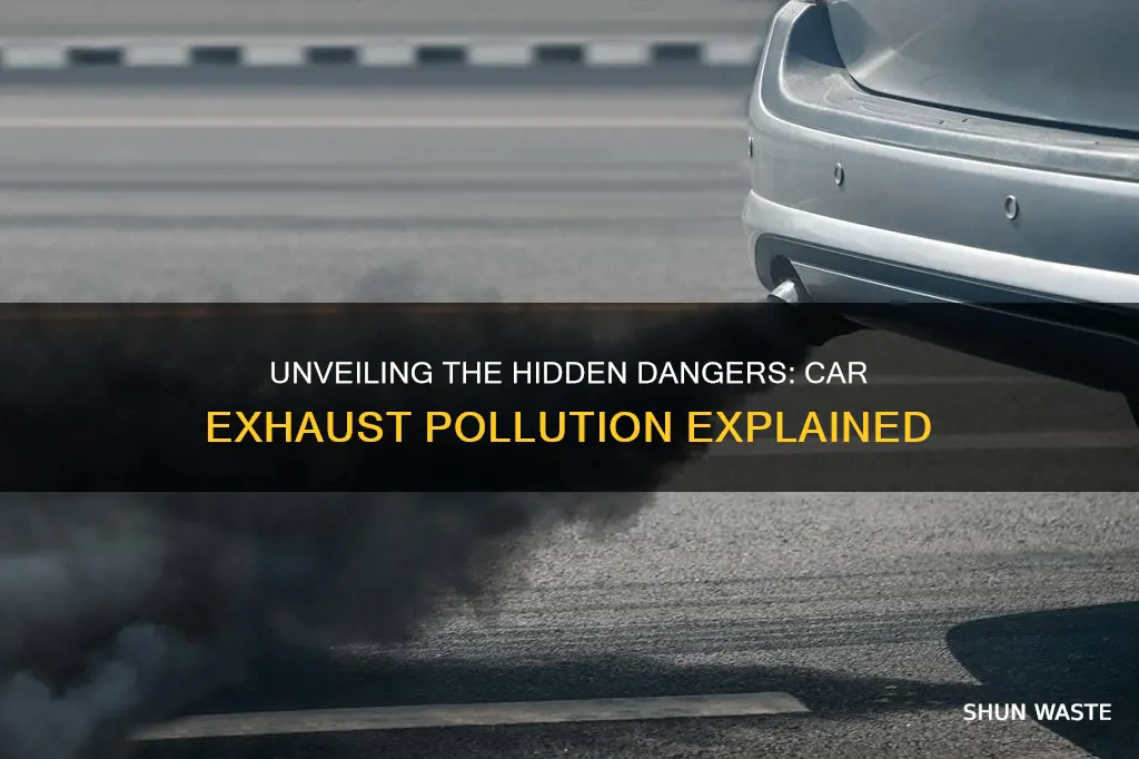 what type of pollution is caused by car exhaust