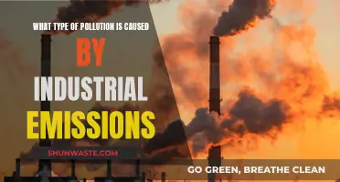 Industrial Emissions: Unveiling the Air Pollution Crisis