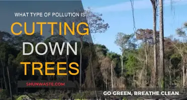 Deforestation: A Major Contributor to Environmental Pollution