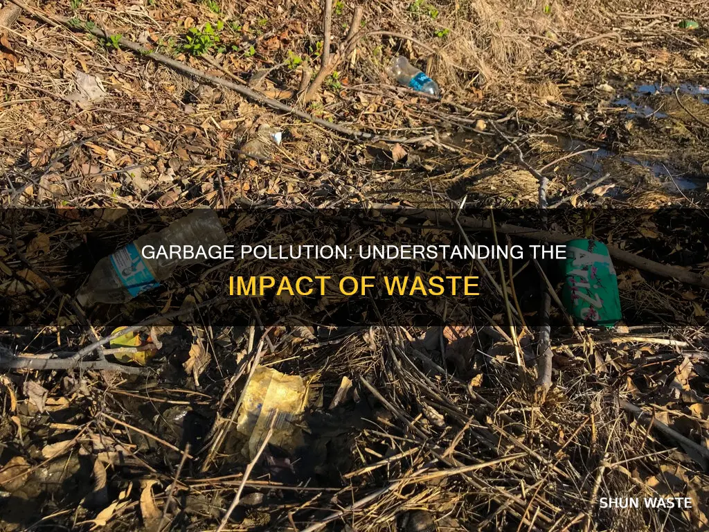 what type of pollution is garbage