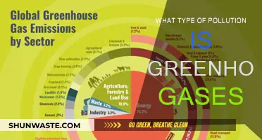 Greenhouse Gases: Understanding Atmospheric Pollution