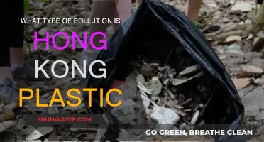 Hong Kong's Plastic Pollution: Understanding the Crisis