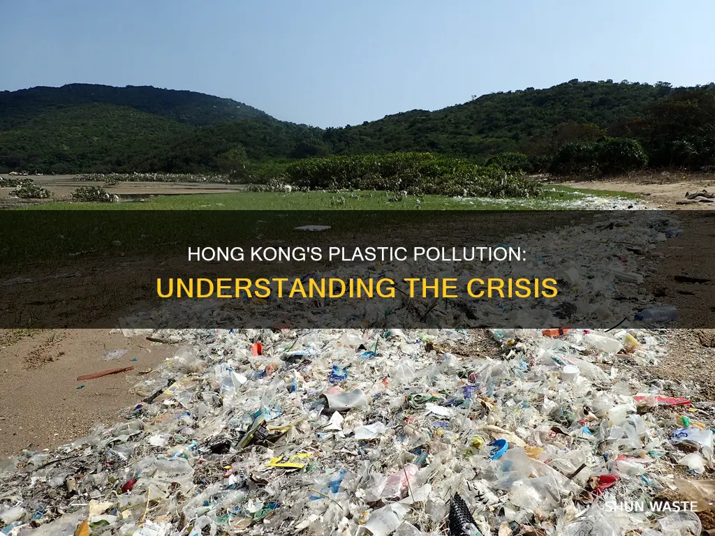 what type of pollution is hong kong plastic