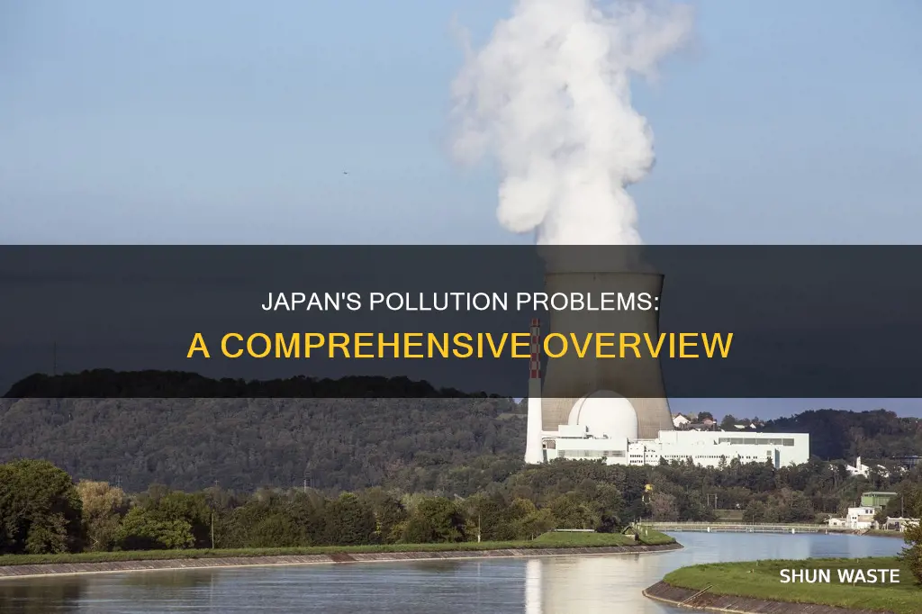 what type of pollution is in japan
