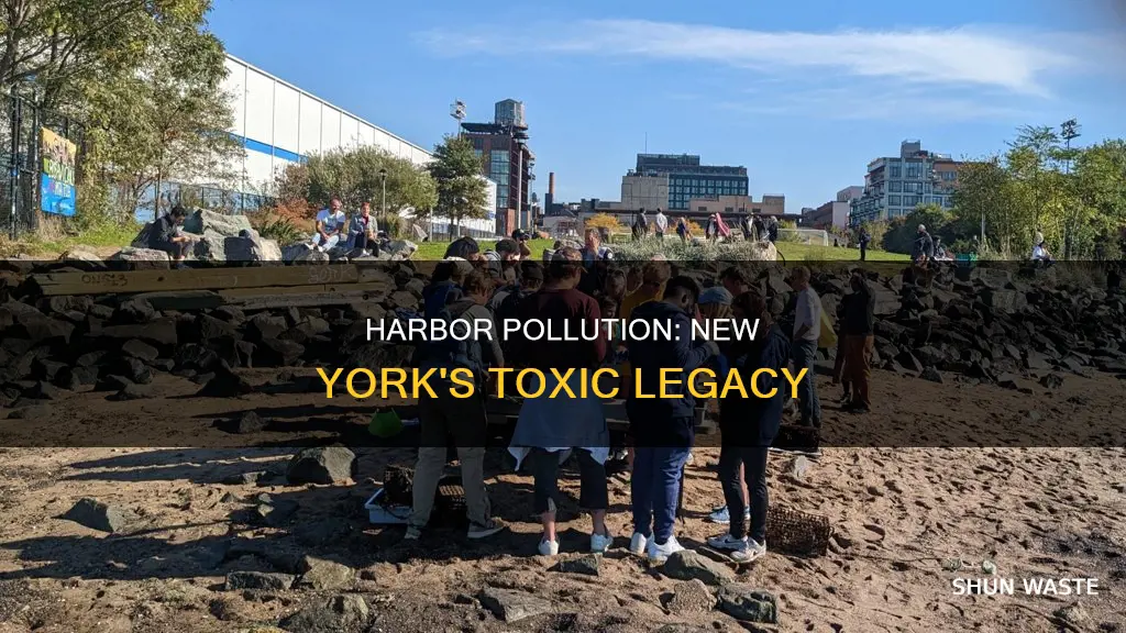 what type of pollution is in new york harbor
