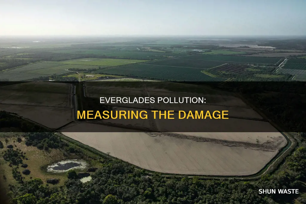 what type of pollution is measured in the everglades