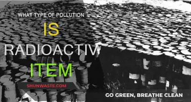 Radioactive Items: Understanding Their Pollution Impact