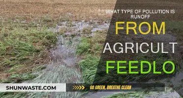 Agricultural Runoff: A Growing Pollution Concern