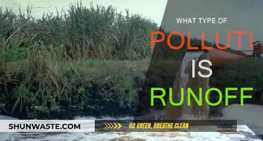 The Hidden Pollution: Runoff's Toxic Trail