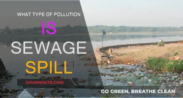 Sewage Spills: Understanding the Pollution They Cause