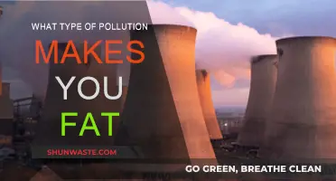 Pollution's Dark Secret: How It Makes You Fat
