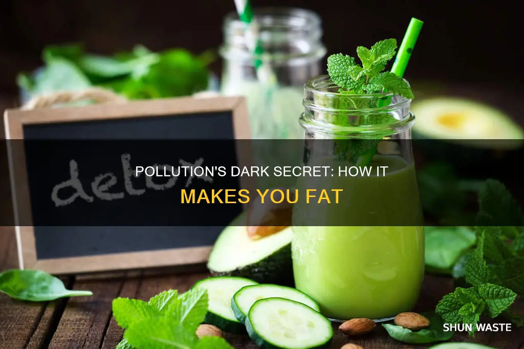what type of pollution makes you fat